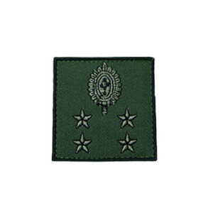 DISTINTIVO GENERAL DE EXÉRCITO BORDADO EB - CÓD. BK4768